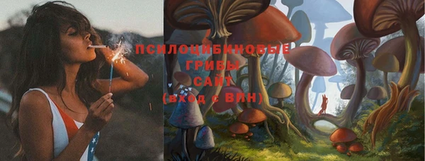 стаф Новокубанск