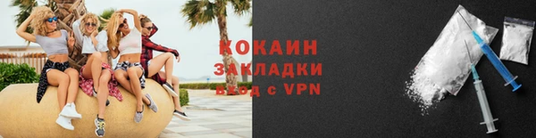стаф Новокубанск