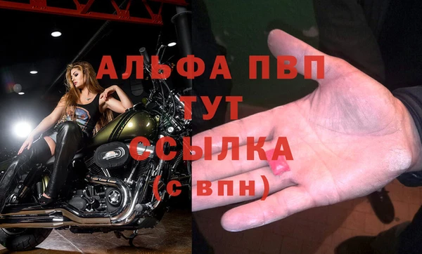 apvp Аркадак