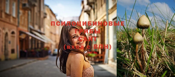 apvp Аркадак