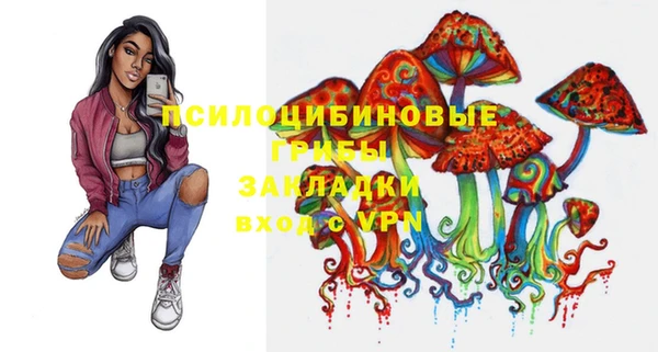 apvp Аркадак