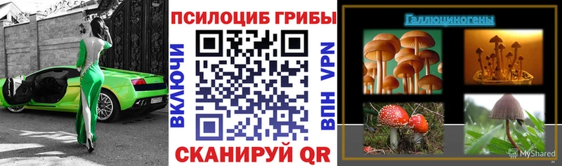 Галлюциногенные грибы Cubensis  Почеп 